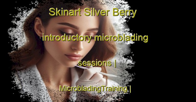 Skinart Silver Berry introductory microblading sessions | MicrobladingTraining | MicrobladingClasses | SkinartTraining-Canada